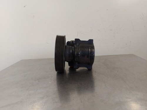 Servopumpe 111349 citroen - servopumpe, at